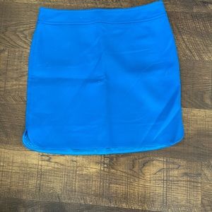Ann Taylor skirt EUC sz 14